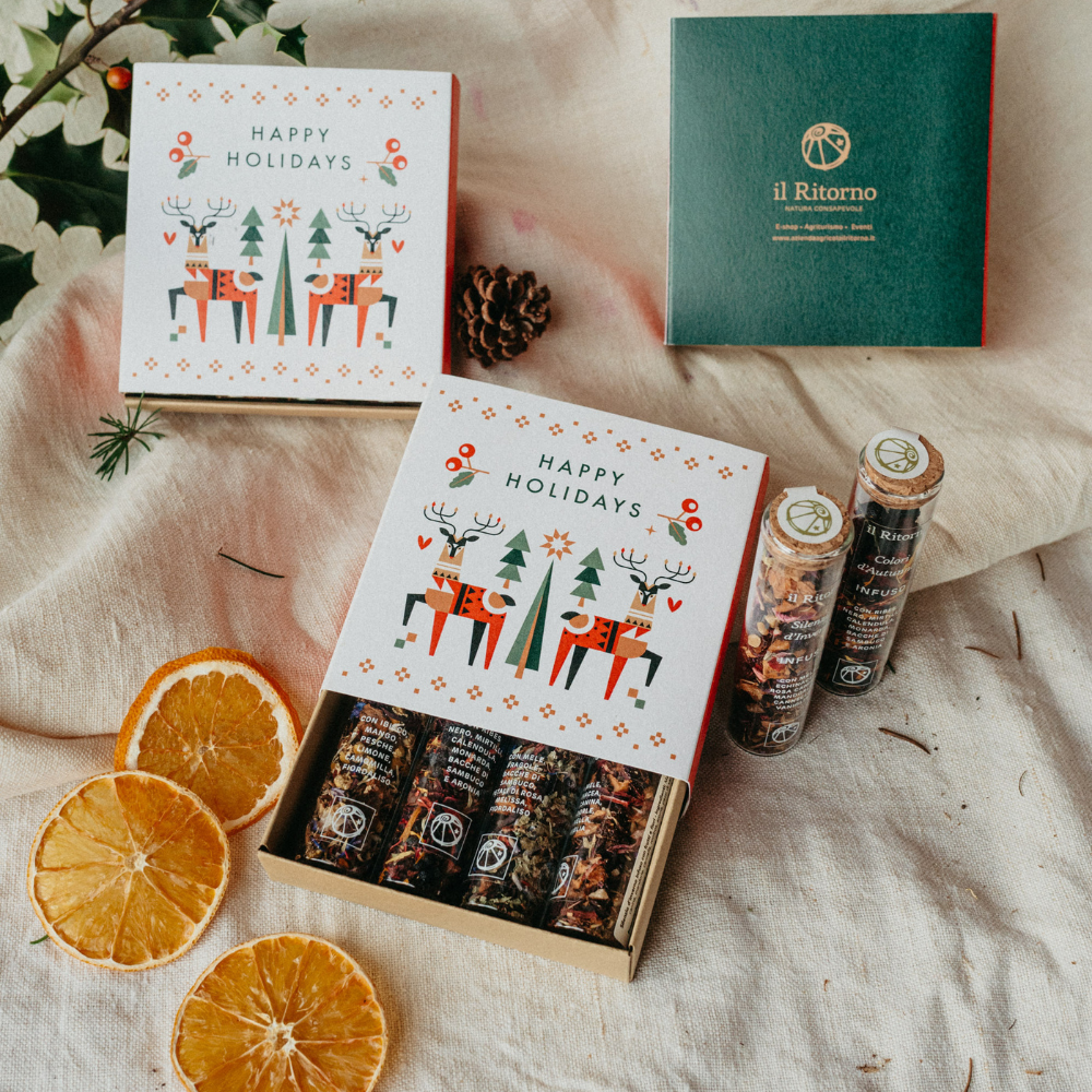 Mix Infusi delle Stagioni Happy Holidays