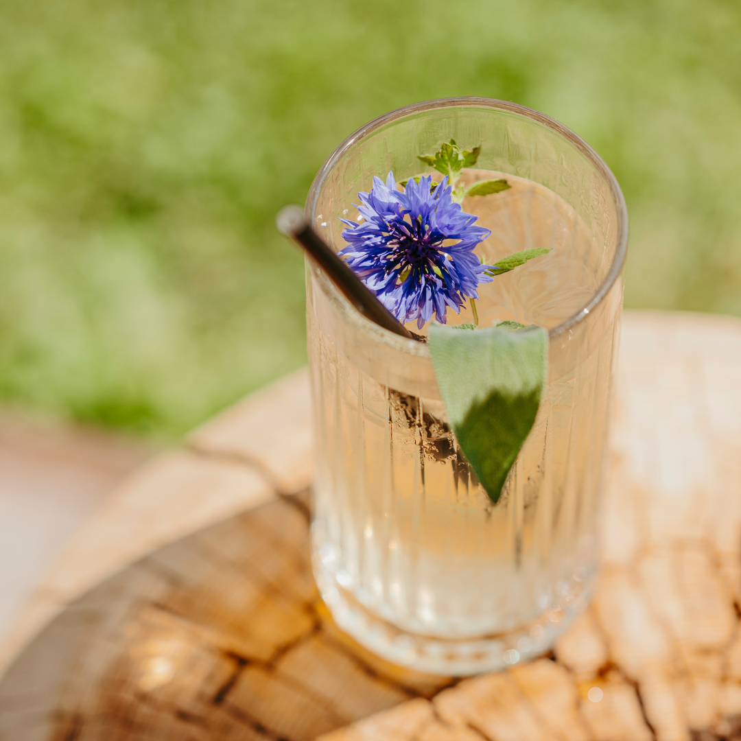 Azienda Agricola Il Ritorno