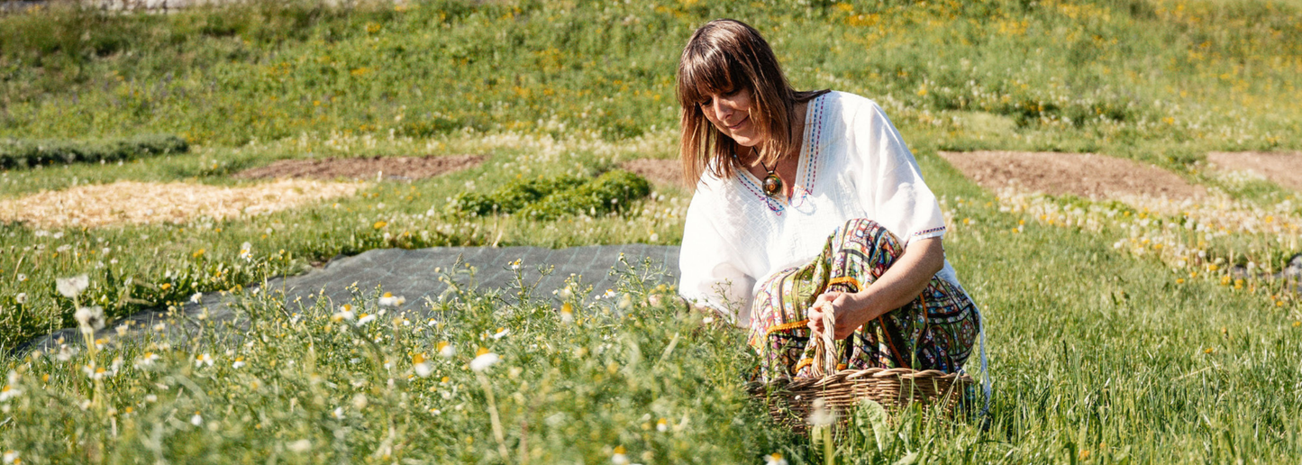 Azienda Agricola Il Ritorno