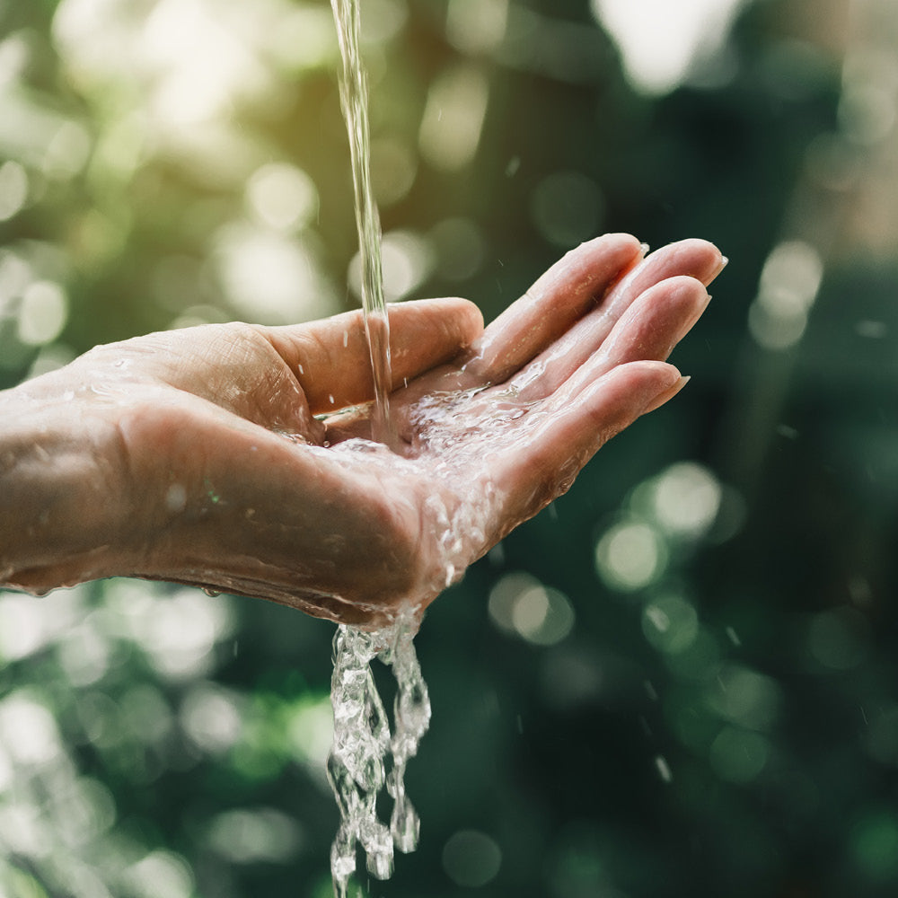 Azienda Agricola Il Ritorno