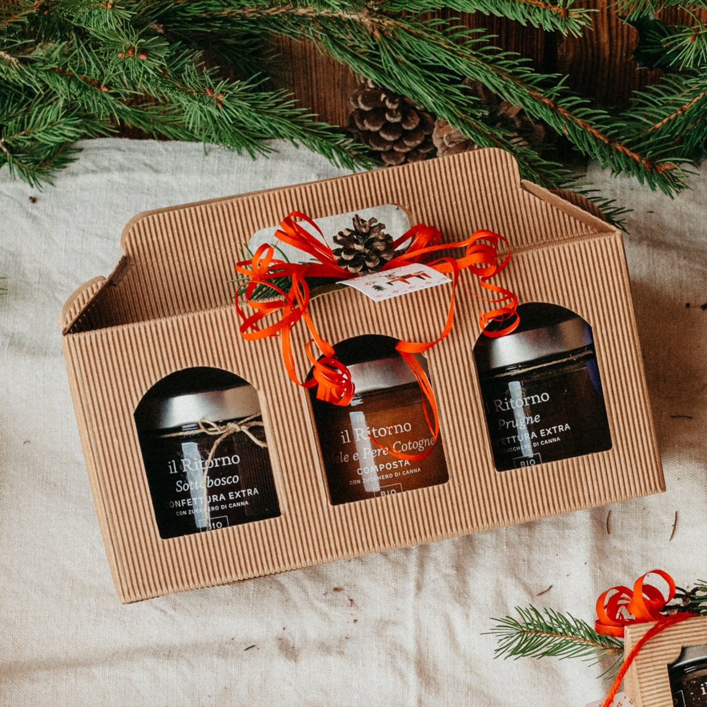 Scatola Regalo 3 Composte BIO da 220g