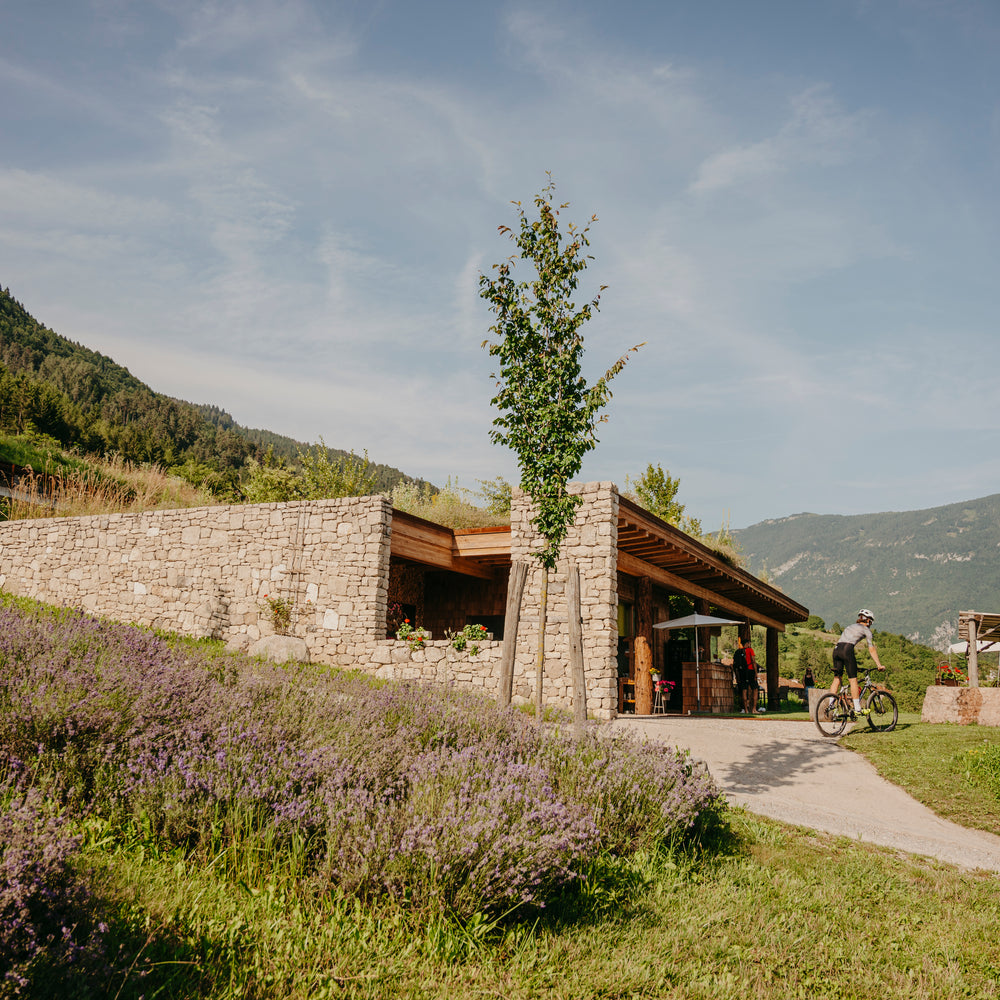 Azienda Agricola Il Ritorno