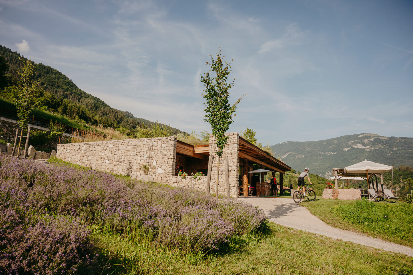 Azienda Agricola Il Ritorno