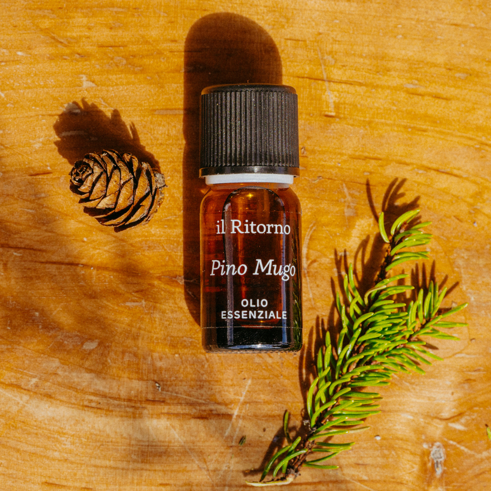Olio Essenziale Pino Mugo