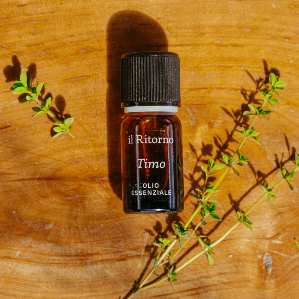 Olio Essenziale Timo