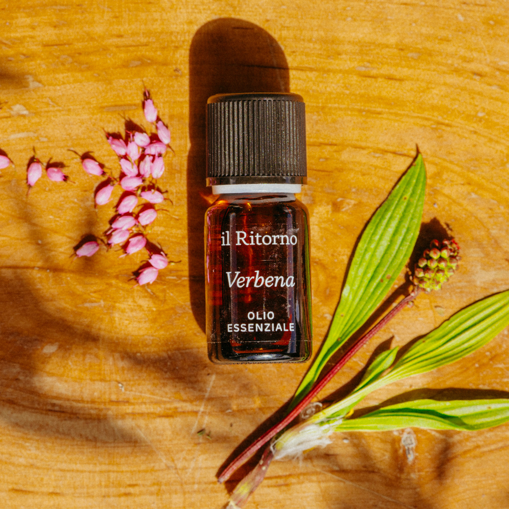 Olio Essenziale Verbena