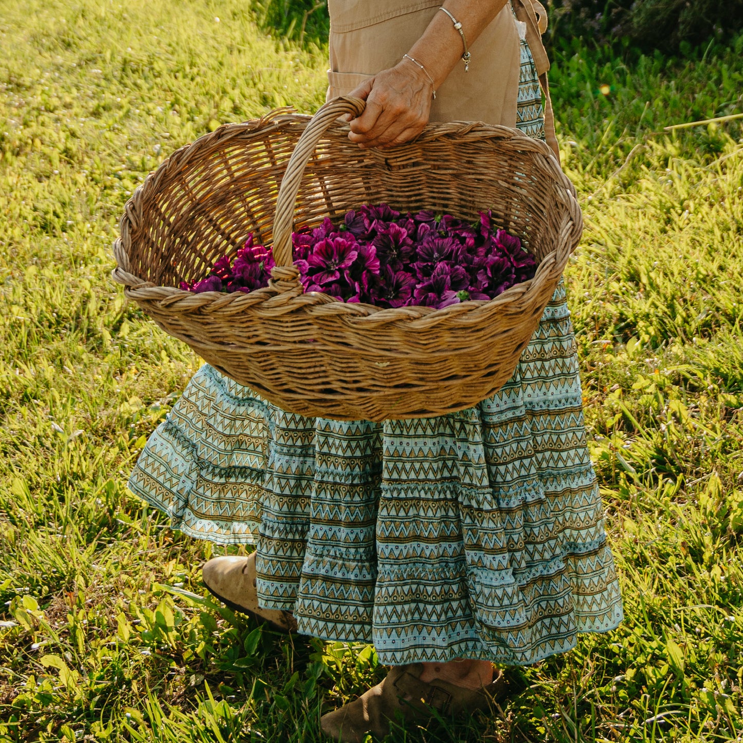 Azienda Agricola Il Ritorno