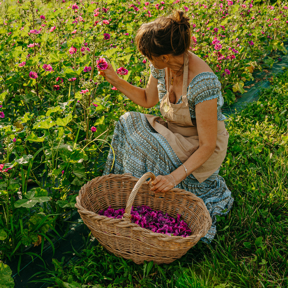 Azienda Agricola Il Ritorno
