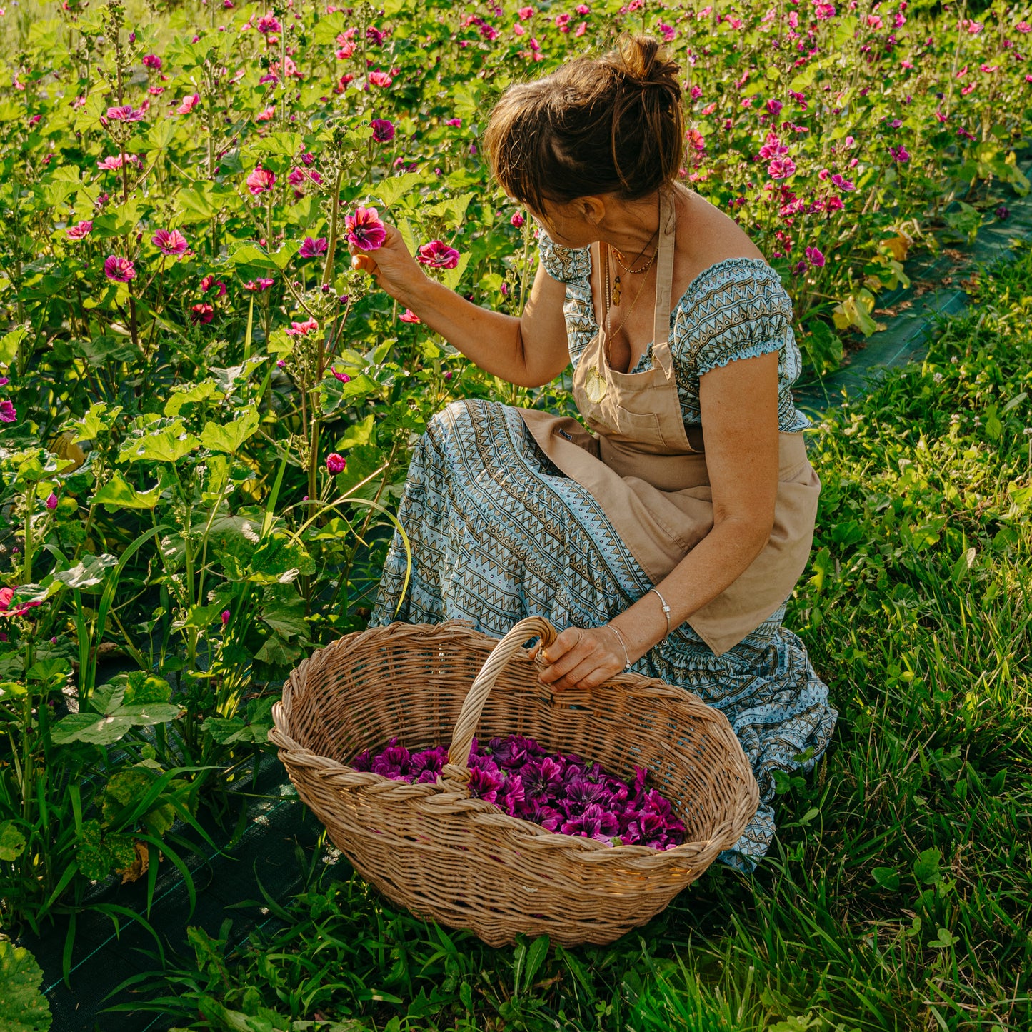Azienda Agricola Il Ritorno