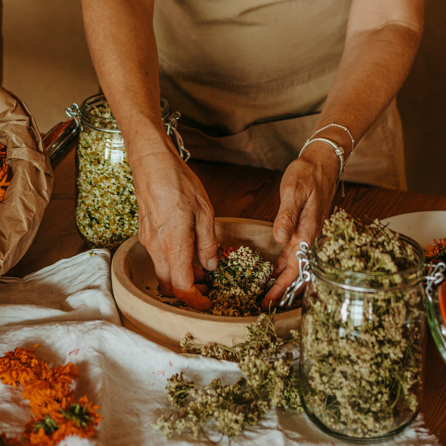 Azienda Agricola Il Ritorno