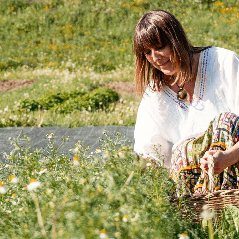 Azienda Agricola Il Ritorno