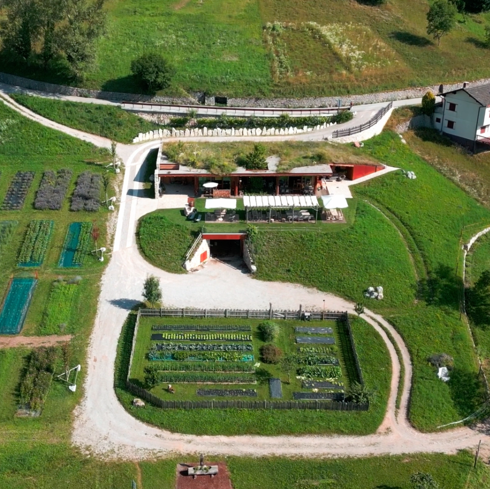 Azienda Agricola Il Ritorno