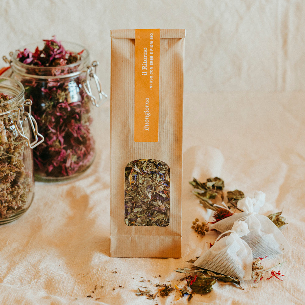Infuso BIO Buongiorno 25g
