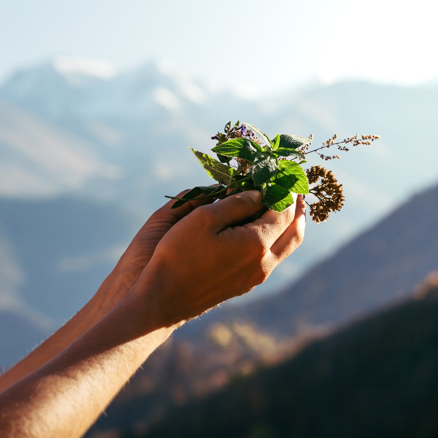 Azienda Agricola Il Ritorno