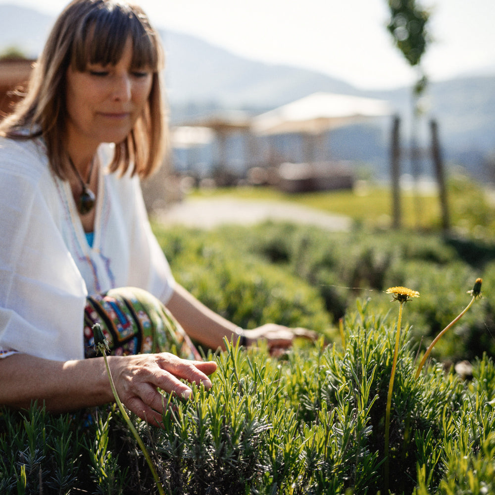 Azienda Agricola Il Ritorno
