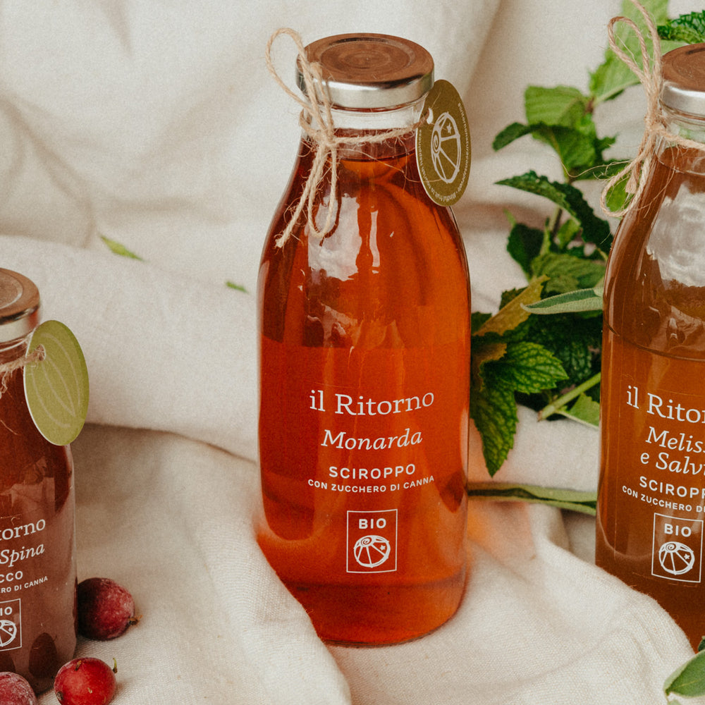 Sciroppo BIO Monarda 500ml