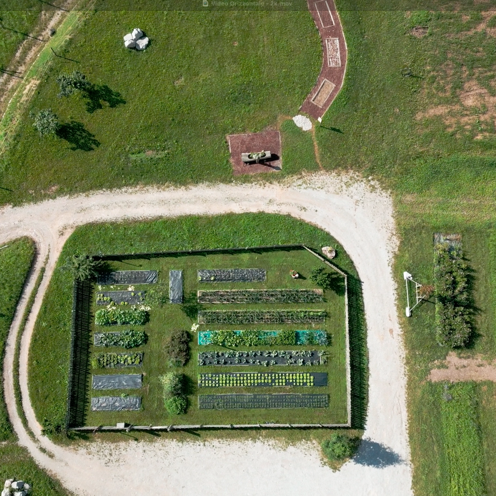 Azienda Agricola Il Ritorno