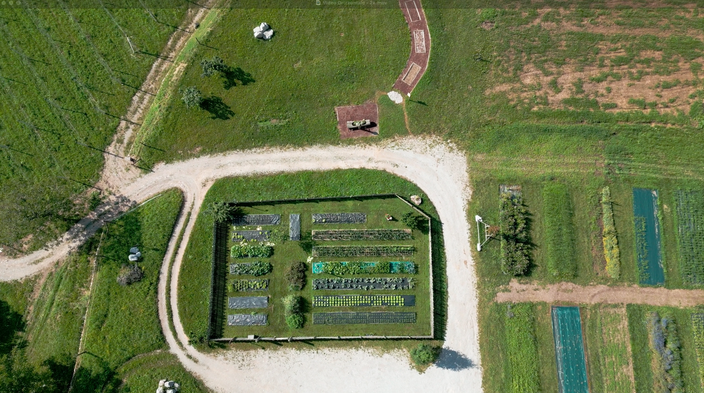 Azienda Agricola Il Ritorno