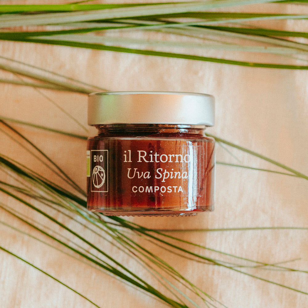 
                      
                        Composta BIO Uva Spina 100g
                      
                    